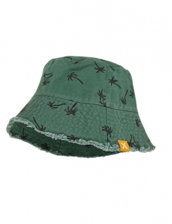 Sonnenhut Maximo grün 'Palmen'